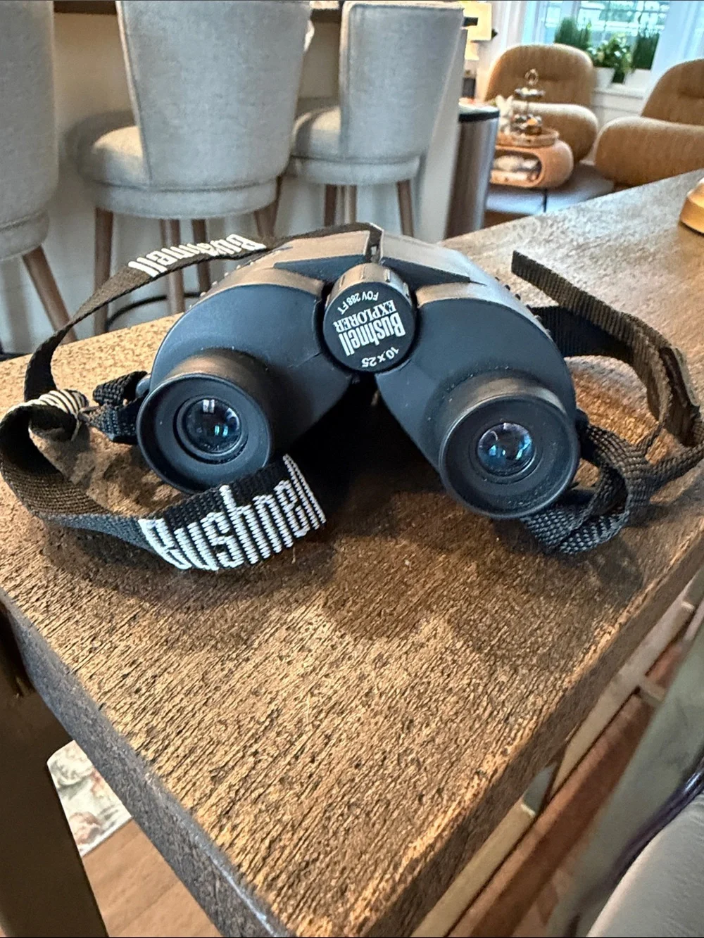 Bushnell Black 10x25 Compact Binoculars - Lightweight Optical Performance